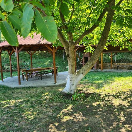 Salas U Bregu In Cheile Carasului Crasova Exterior foto