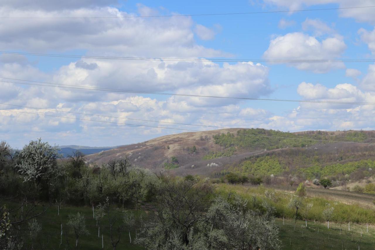 Salas U Bregu In Cheile Carasului Crasova Exterior foto