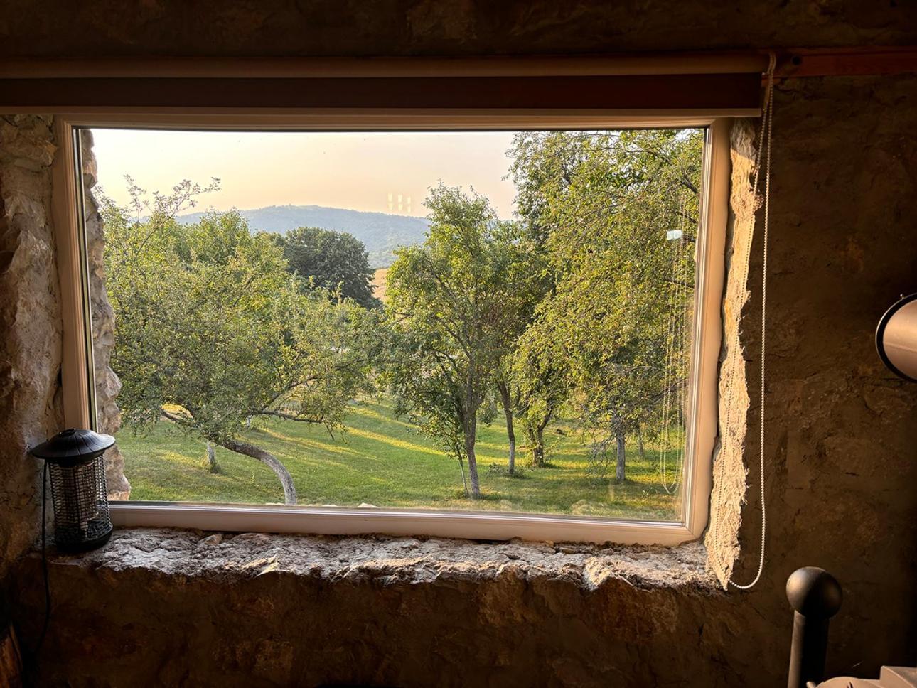 Salas U Bregu In Cheile Carasului Crasova Exterior foto